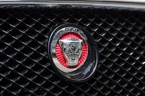 車(chē)標(biāo)上的動(dòng)物都是啥來(lái)頭？看完又能出去裝X了