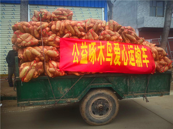 ＂愛(ài)心蘿卜＂來(lái)了！