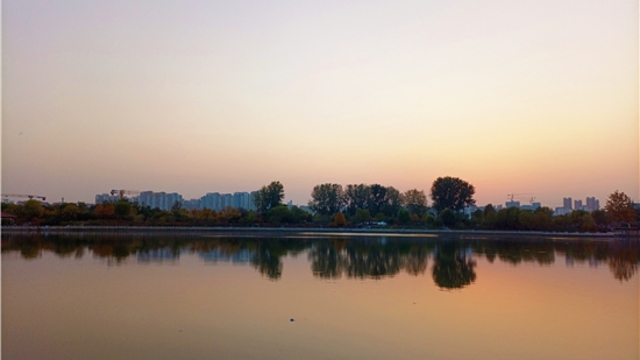 蘆花白，秋水寒