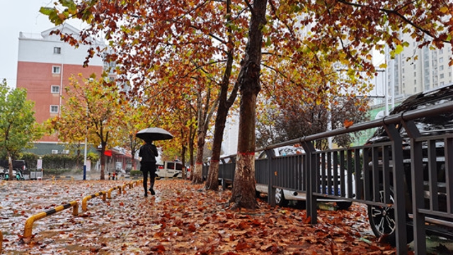 雨中周口，別有一番韻味