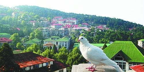  有著“云中山城”之稱的牯嶺鎮(zhèn)面臨著遷民下山。